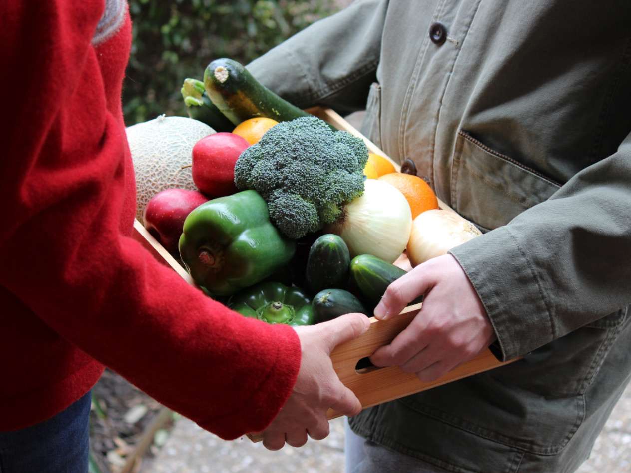 two people holding a box of produce